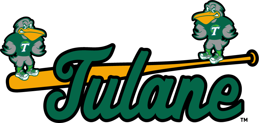 Tulane Green Wave 2017-Pres Misc Logo DIY iron on transfer (heat transfer)